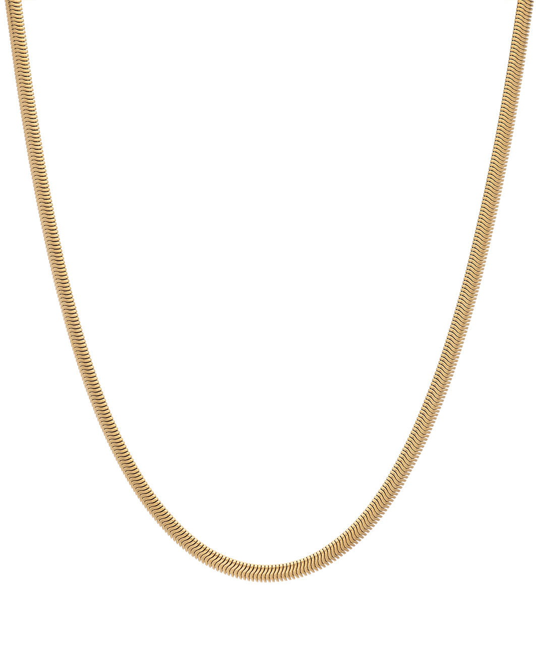 Chic Snake Chain Necklace