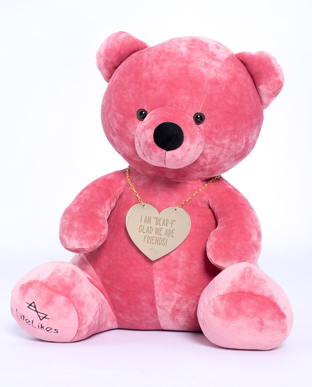 Beary Teddy Bear "I'm beary glad we are friends" 28cm