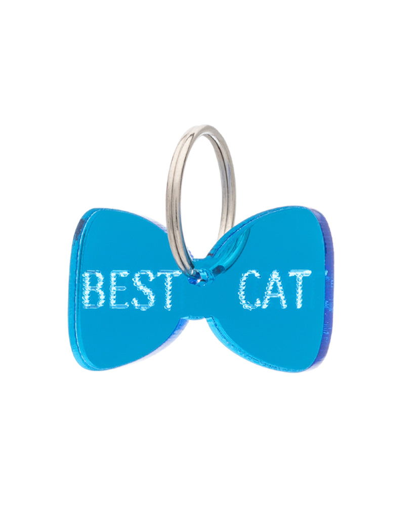 I migliori accessori per gatti