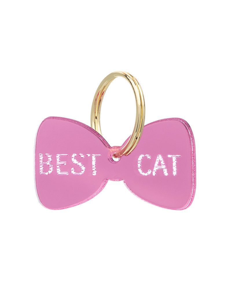 I migliori accessori per gatti